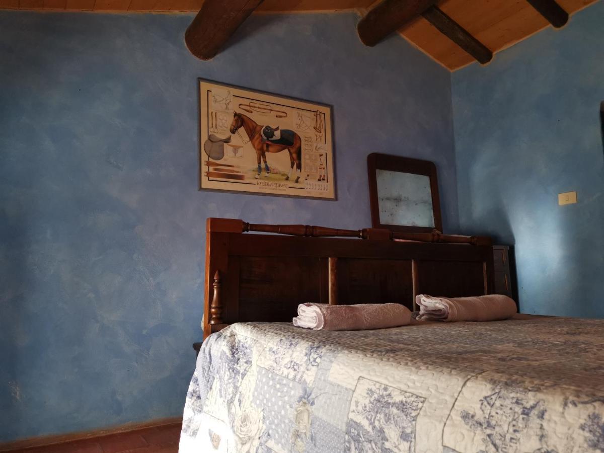 Bed and Breakfast Daina Bianca à Solignano Extérieur photo